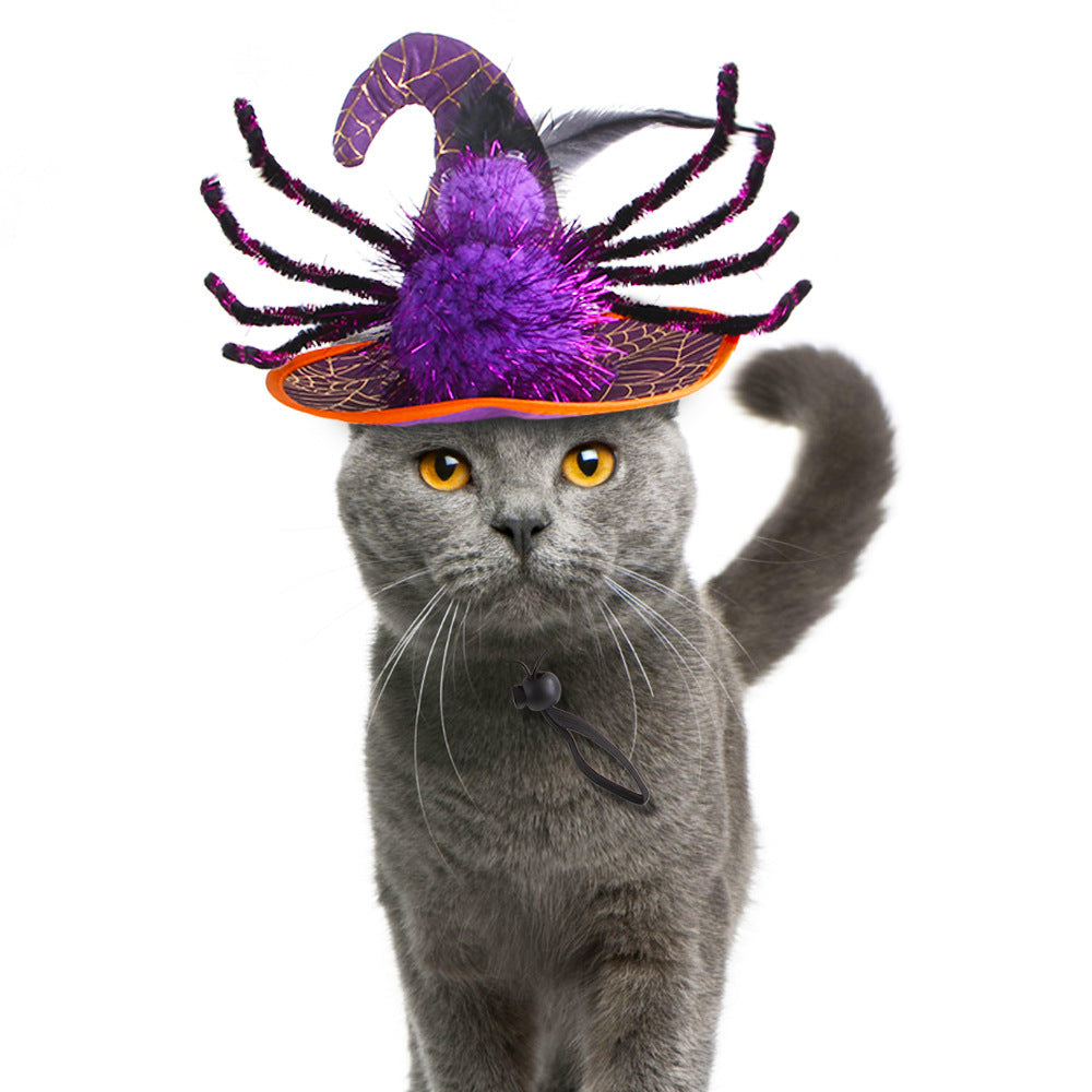 Gray cat wearing a whimsical purple witch hat with spider leg decorations, orange trim, and a black collar, gazing intently.