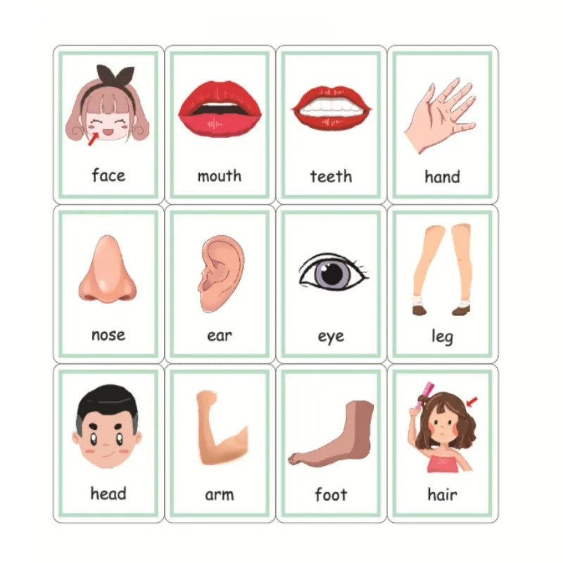 Illustrated body part cards labeled face, mouth, teeth, hand, nose, ear, eye, leg, head, arm, foot, and hair. Each card features a simple cartoon depiction.