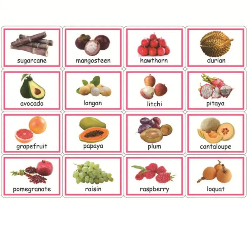 Grid of 15 fruit images with labels: sugarcane, mangosteen, hawthorn, durian, avocado, longan, litchi, pitaya, grapefruit, papaya, plum, cantaloupe, pomegranate, raisin, raspberry, loquat.