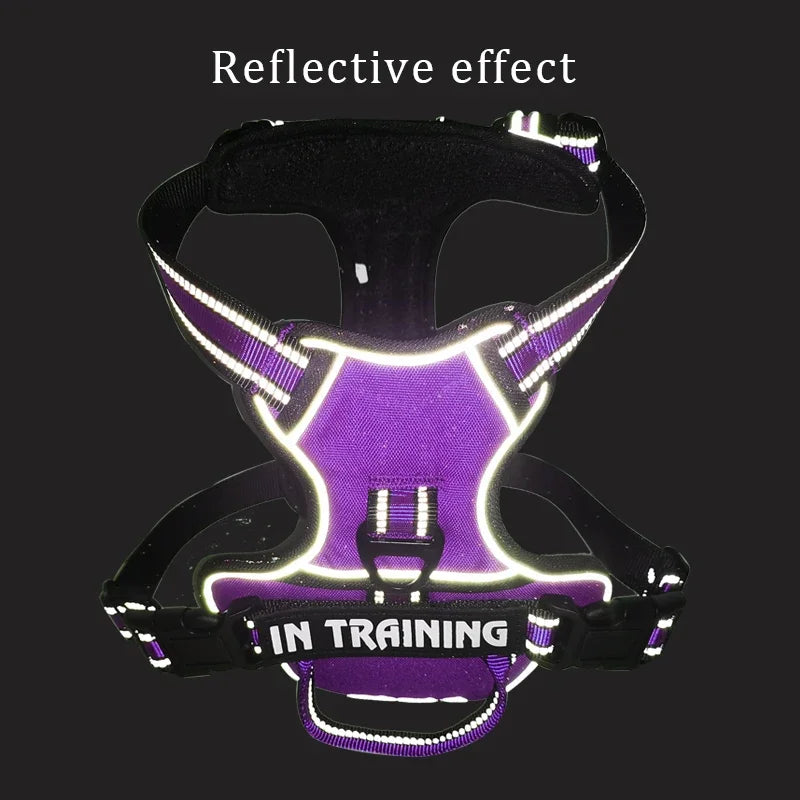 Reflective Nylon Dog Harness - Personalized & Breathable