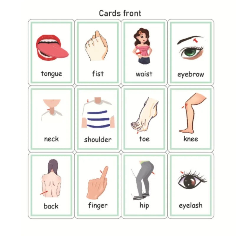 Illustrated flashcards showing various body parts: tongue, fist, waist, eyebrow, neck, shoulder, toe, knee, back, finger, hip, and eyelash, each labeled clearly.