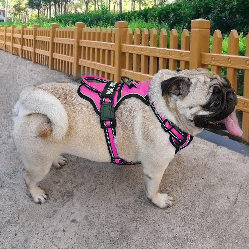 Reflective Nylon Dog Harness - Personalized & Breathable