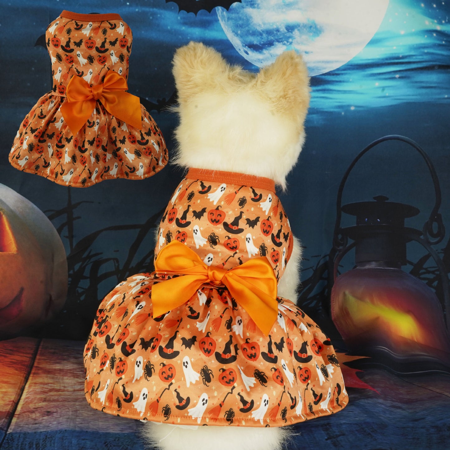 Halloween Party Dress for Pets