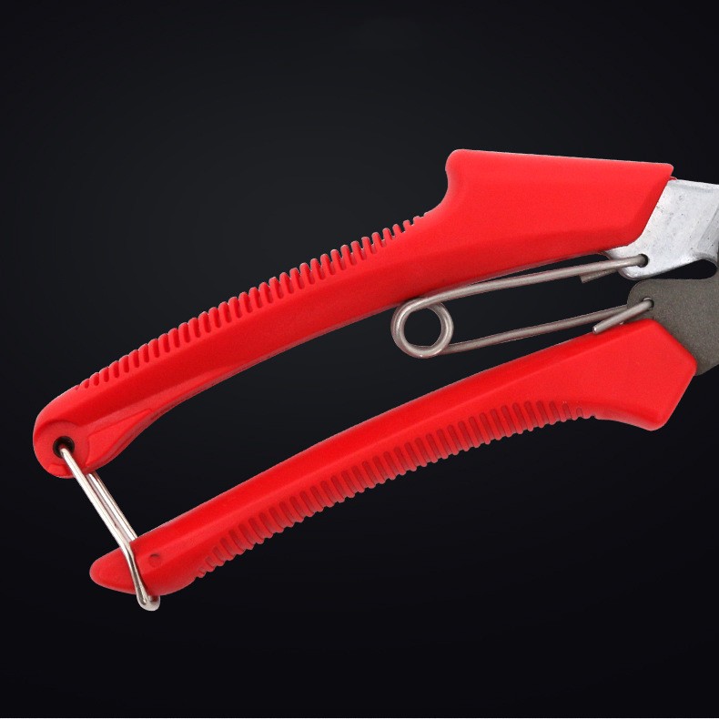 Premium Fruit Tree Pruning Scissors