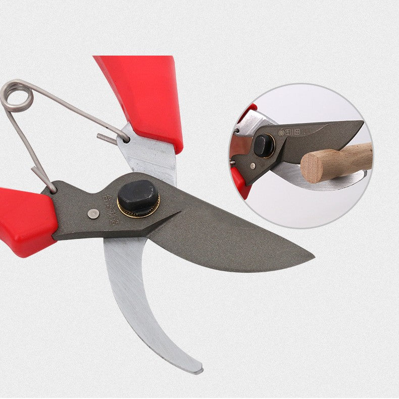 Premium Fruit Tree Pruning Scissors