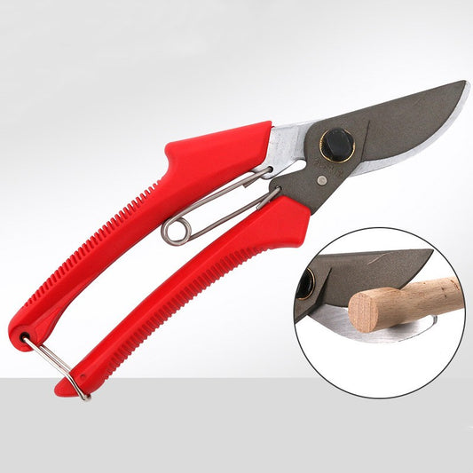 Premium Fruit Tree Pruning Scissors