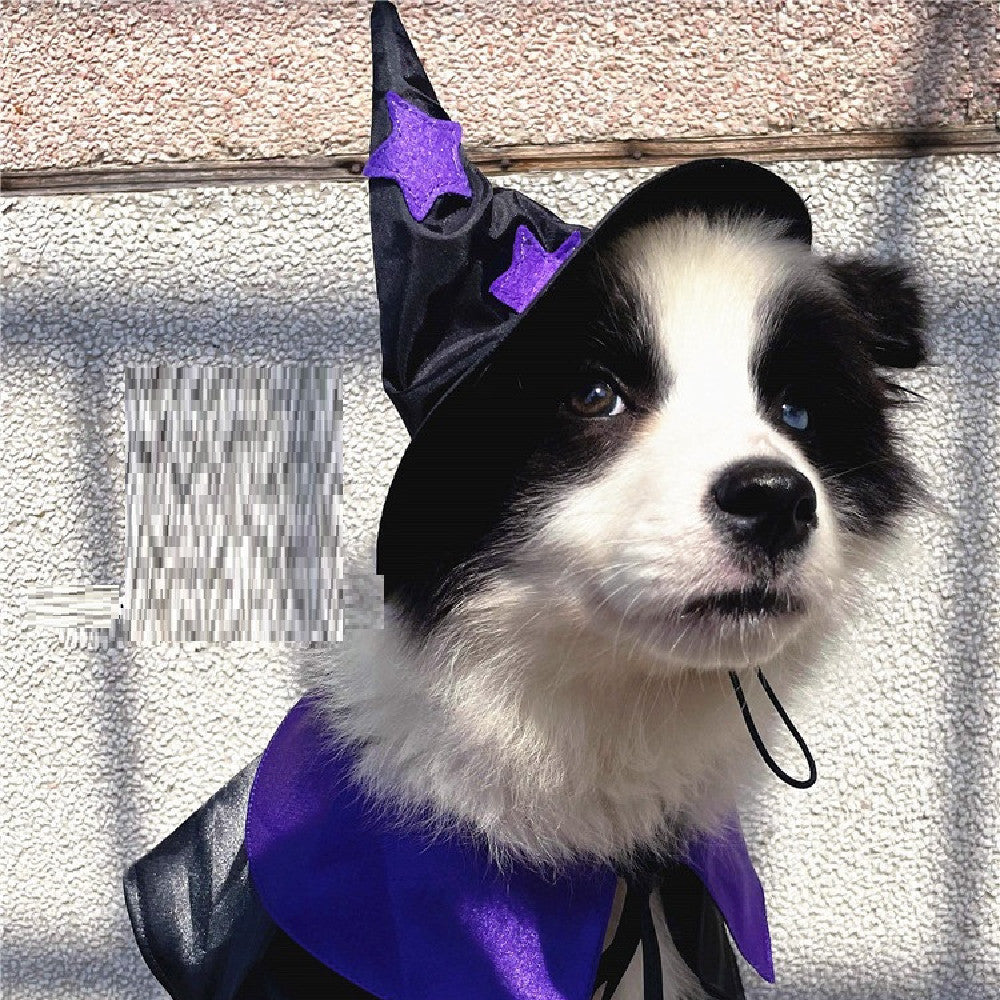 Magical Wizard Pet Costume Set