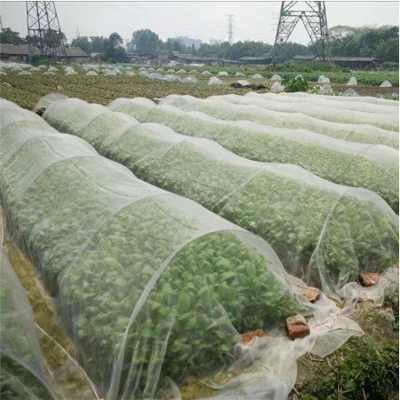 Premium Anti-Insect Nylon Net