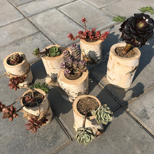 Premium Wood Planters Set