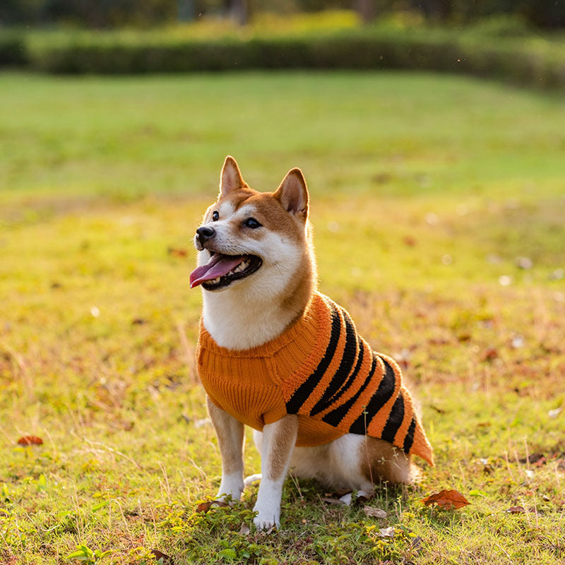 Halloween Dog Sweaters for Perfect Pet Cosplay