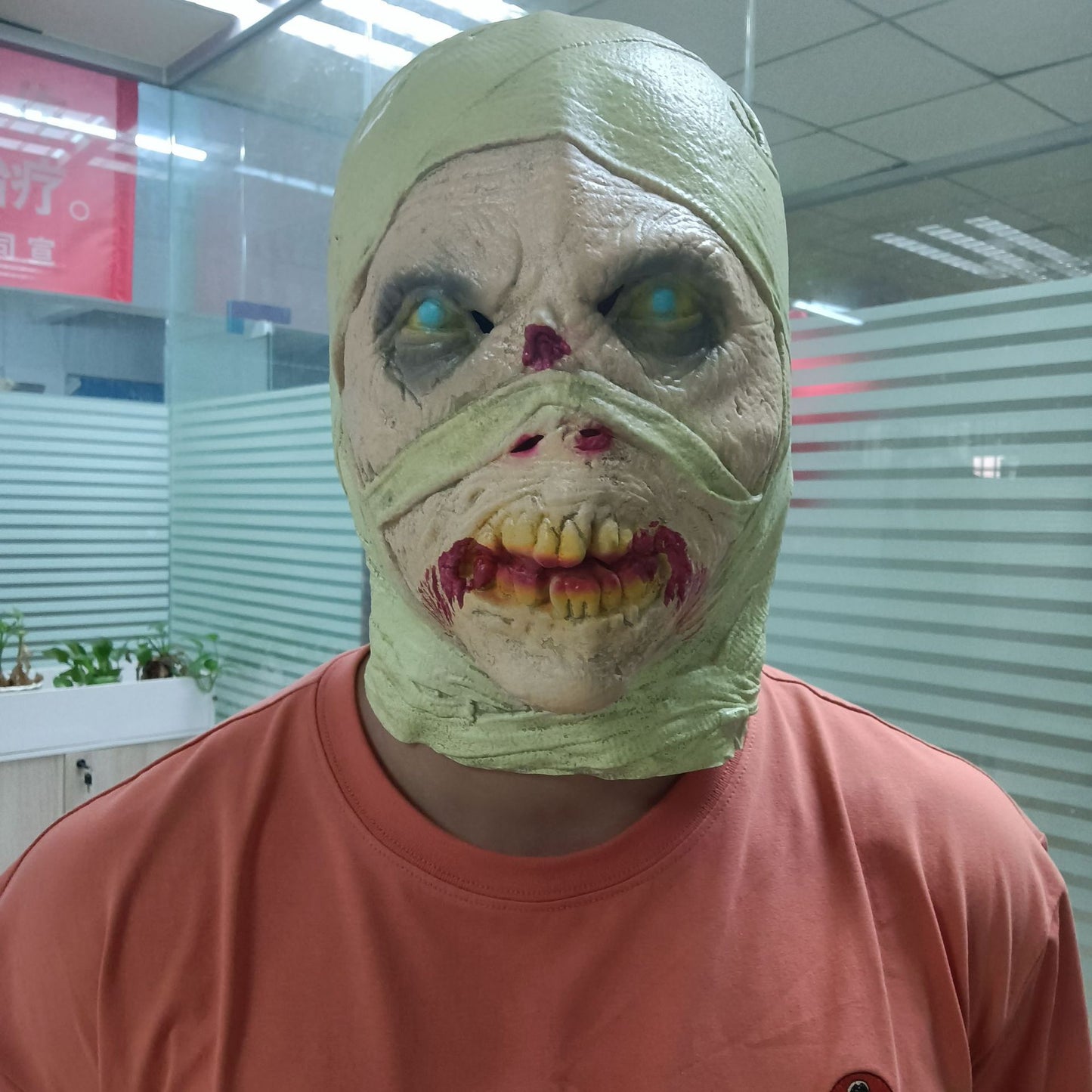 Horror Mummy Halloween Mask