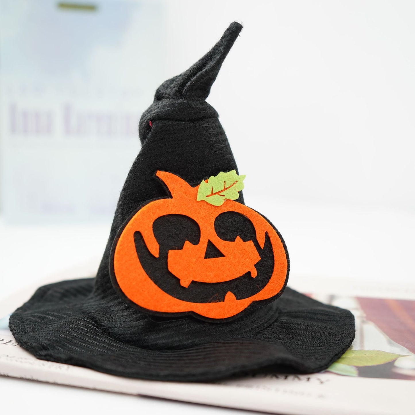 Magic Halloween Pet Hat Transformation