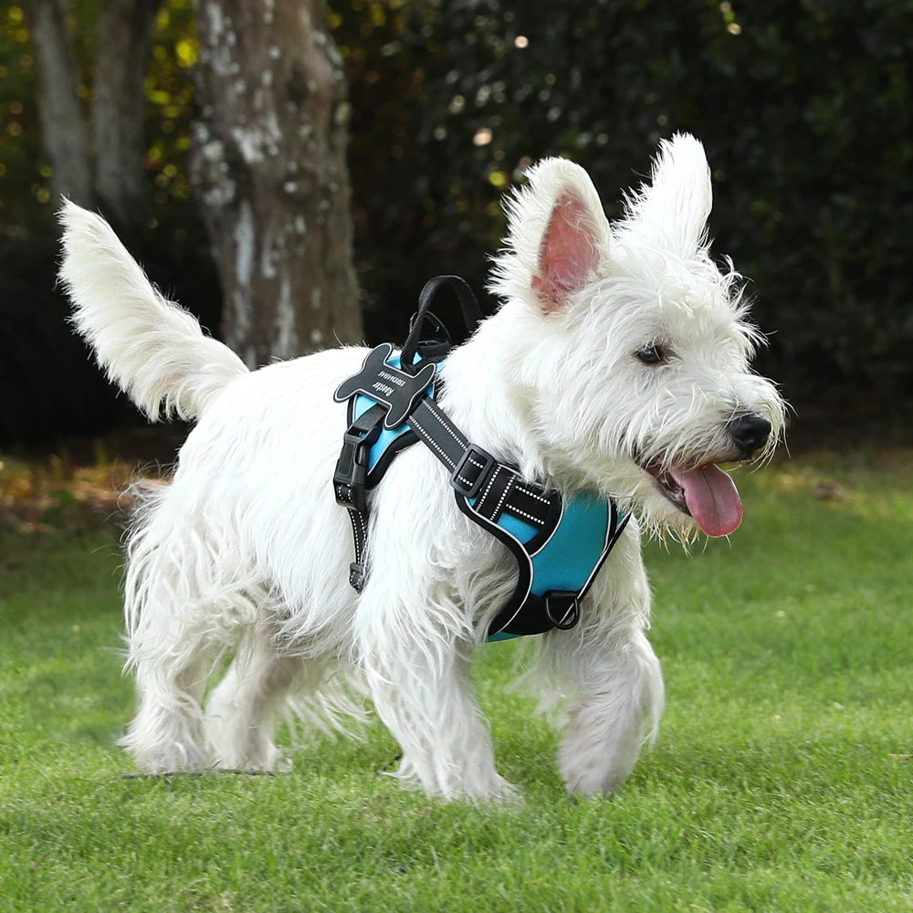 Custom Patch Dog Harness - NO PULL Vest