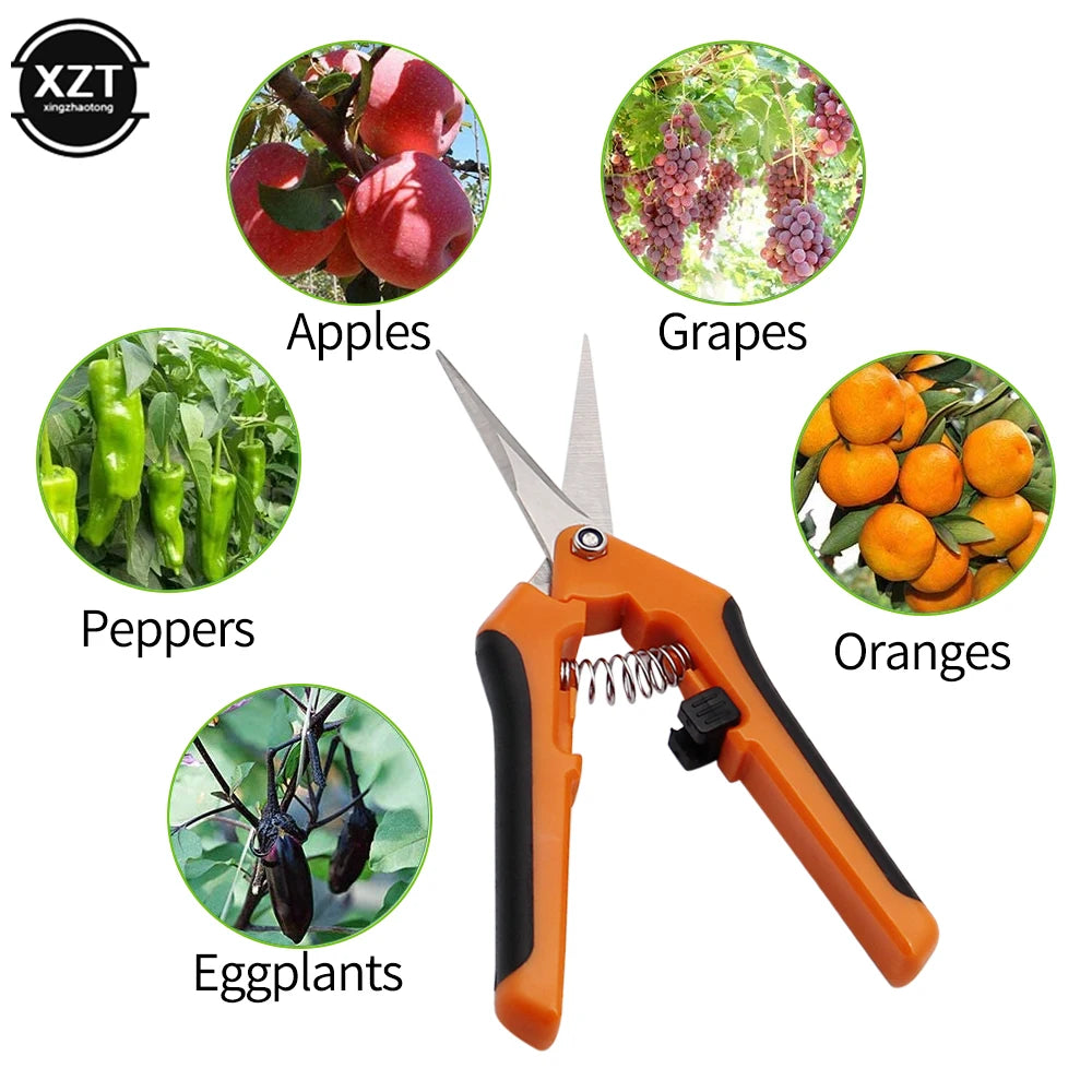 Stainless Steel Garden Pruning Shears