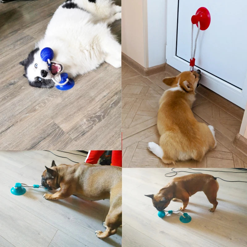 Interactive Dog Toy Set with Suction Cup