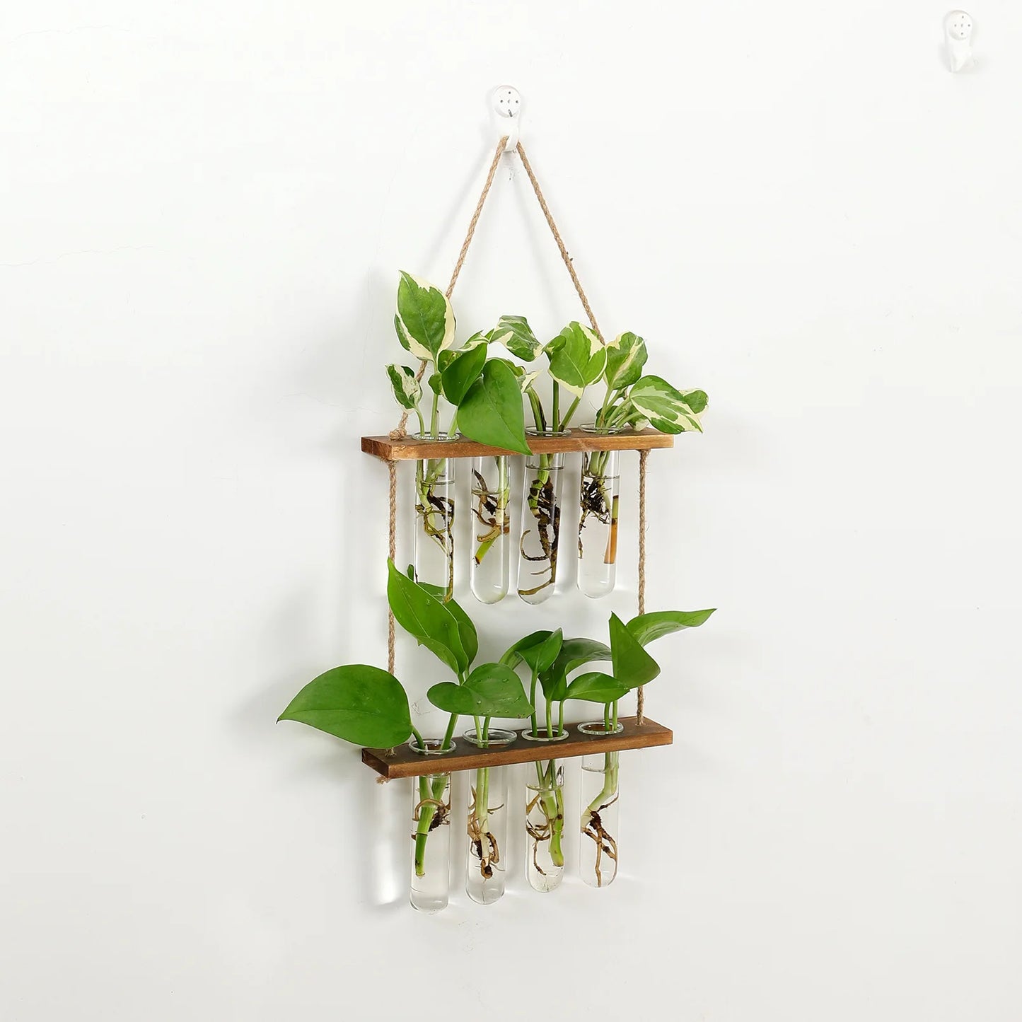 Premium Double Layer Hanging Planter