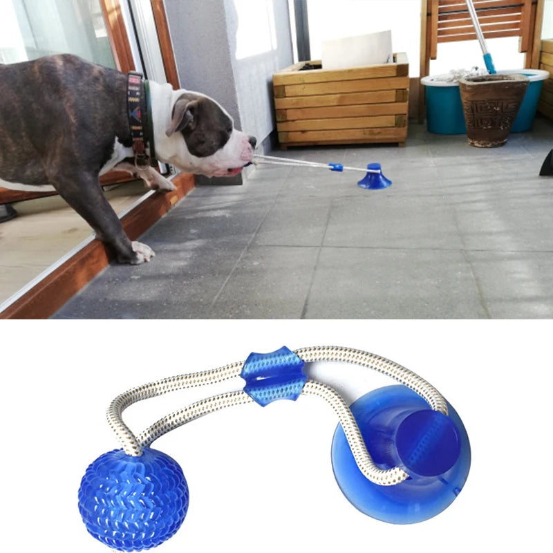 Interactive Dog Toy Set with Suction Cup