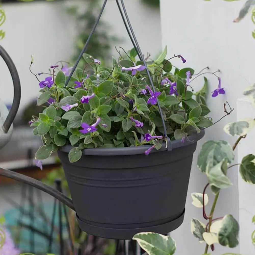 Macrame Hanging Plant Holder