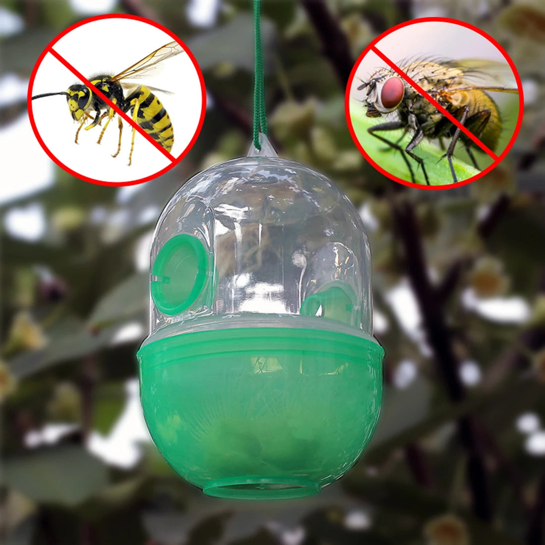 Wasp Trap Pest Control Solution