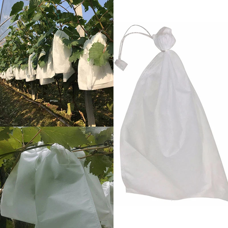 100Pcs Grape Protection Bags