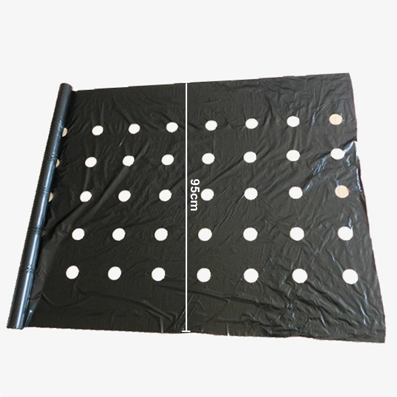 10m Black 5-Hole Mulch Film