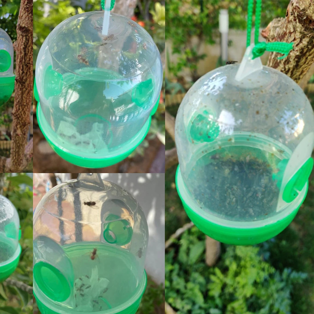 Wasp Trap Pest Control Solution