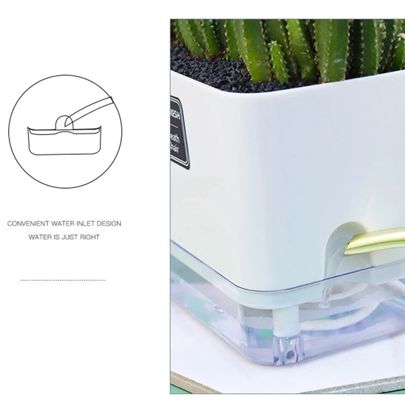 Self-Watering Planters - Set of 4