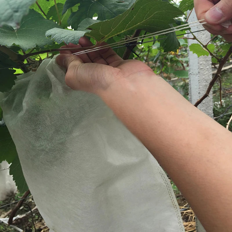 100Pcs Grape Protection Bags