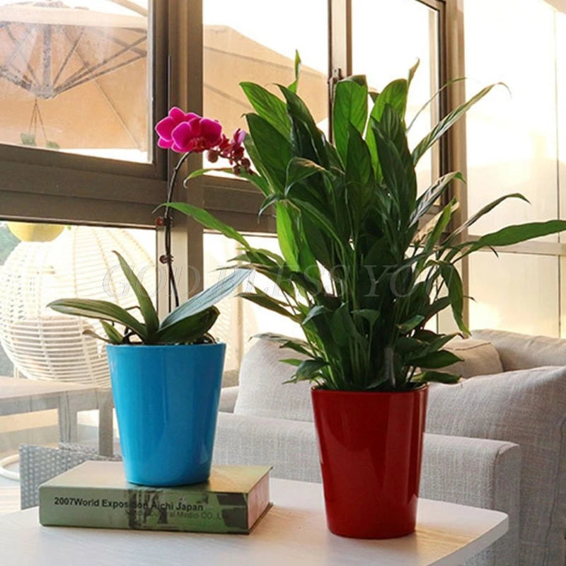 Modern Self Watering Planters - Indoor Garden Decor