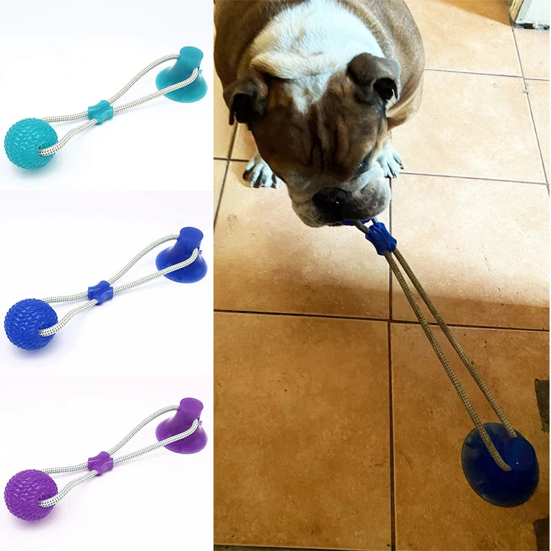 Interactive Dog Toy Set with Suction Cup