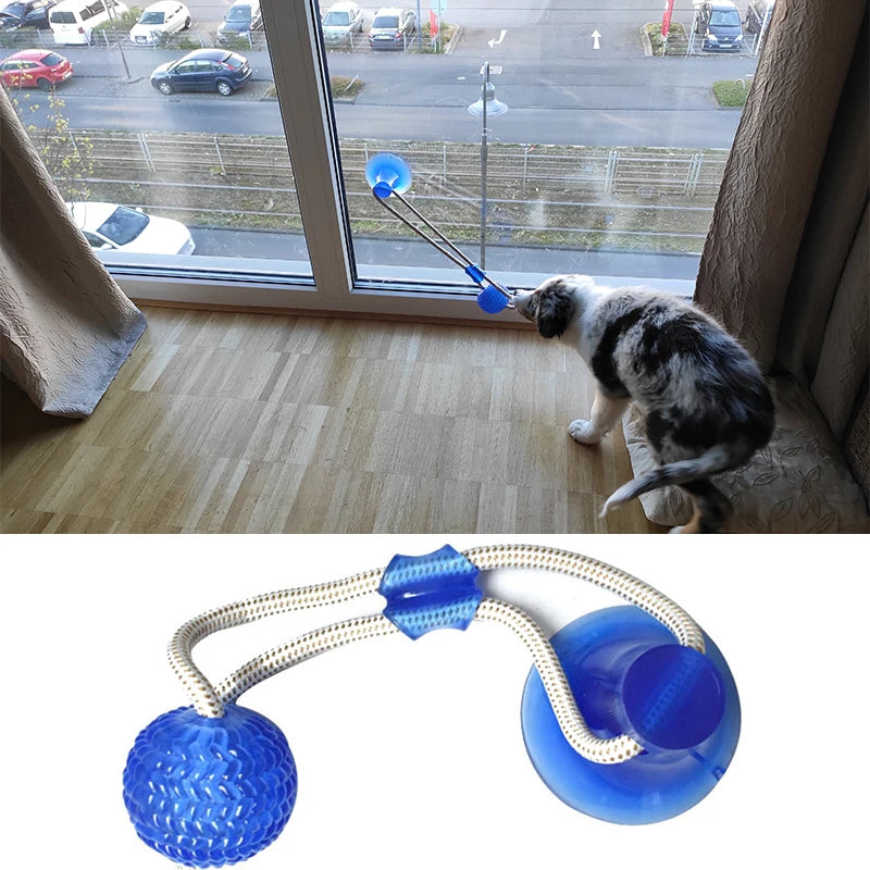 Interactive Dog Toy Set with Suction Cup