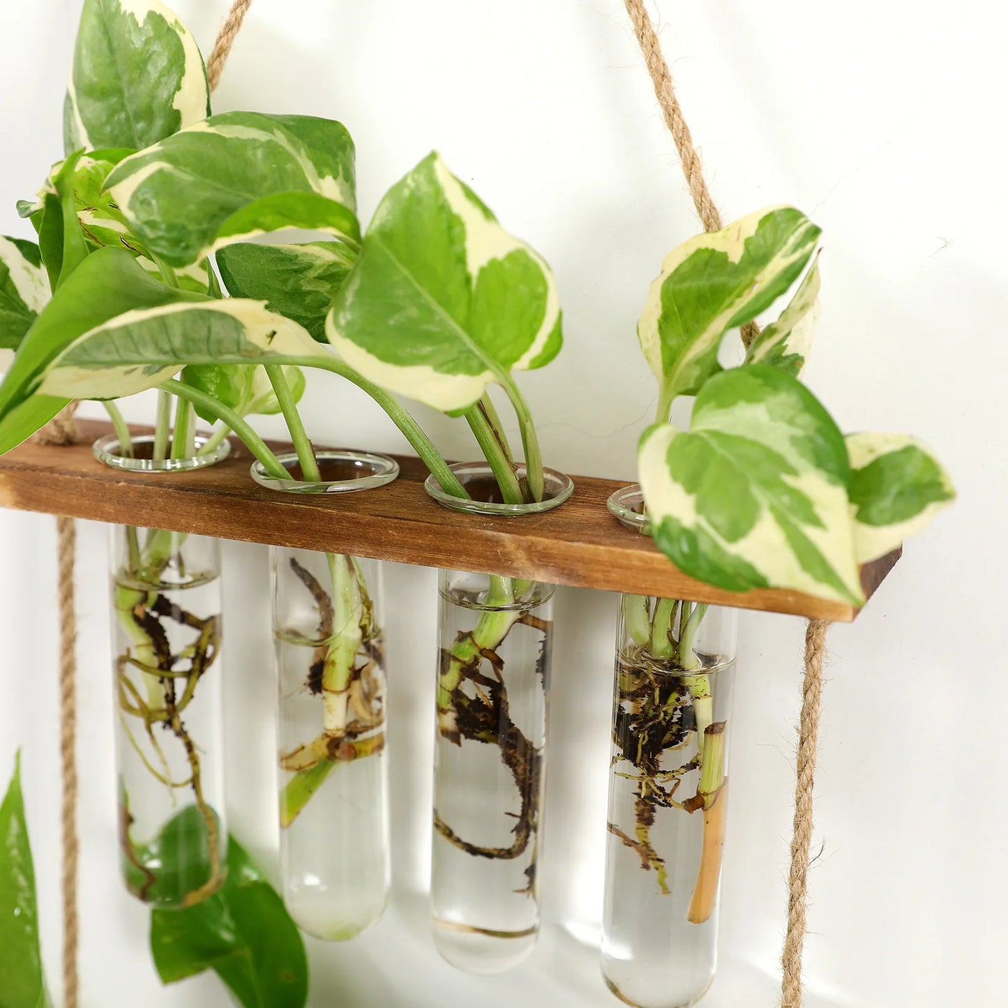 Premium Double Layer Hanging Planter