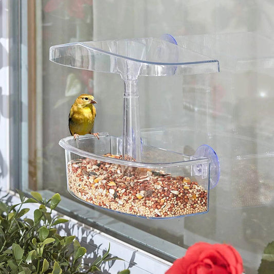 Transparent Window Bird Feeder - Birdhouse With Suction Cups