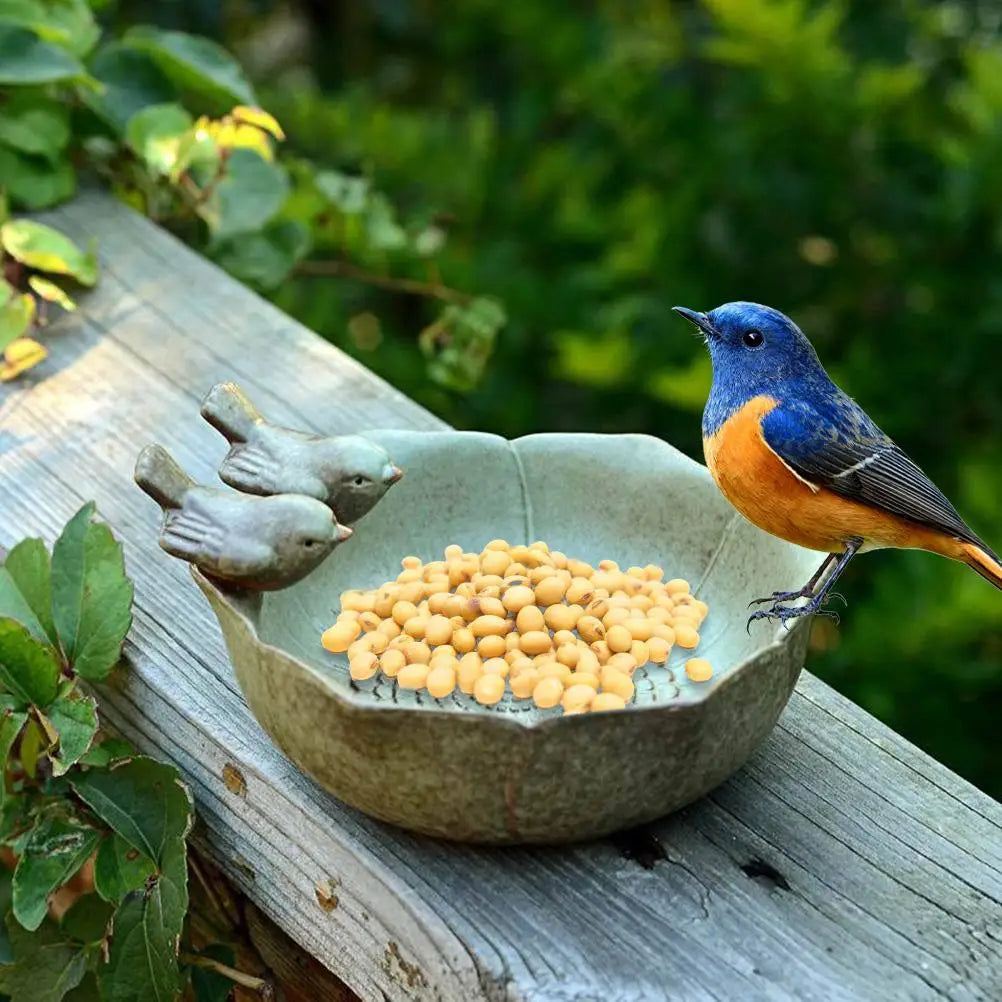 Ceramic Bird Bath Feeder