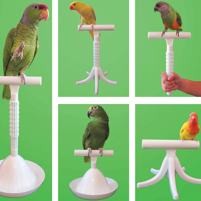 Portable Parrot Stand & Training Tool