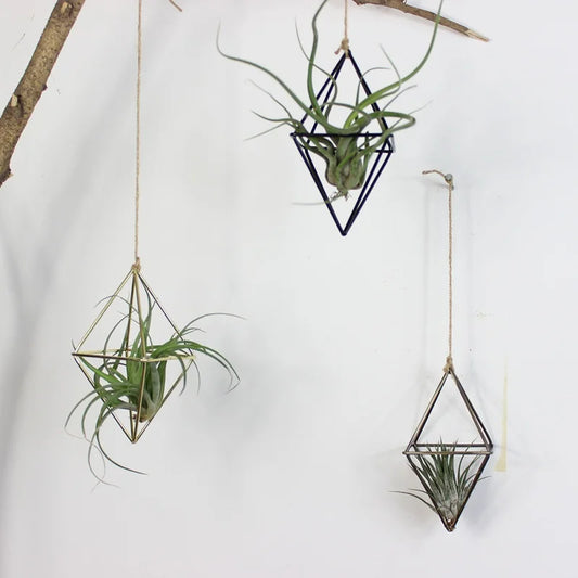 Decorative Hanging Planters