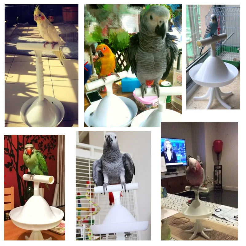 Portable Parrot Stand & Training Tool