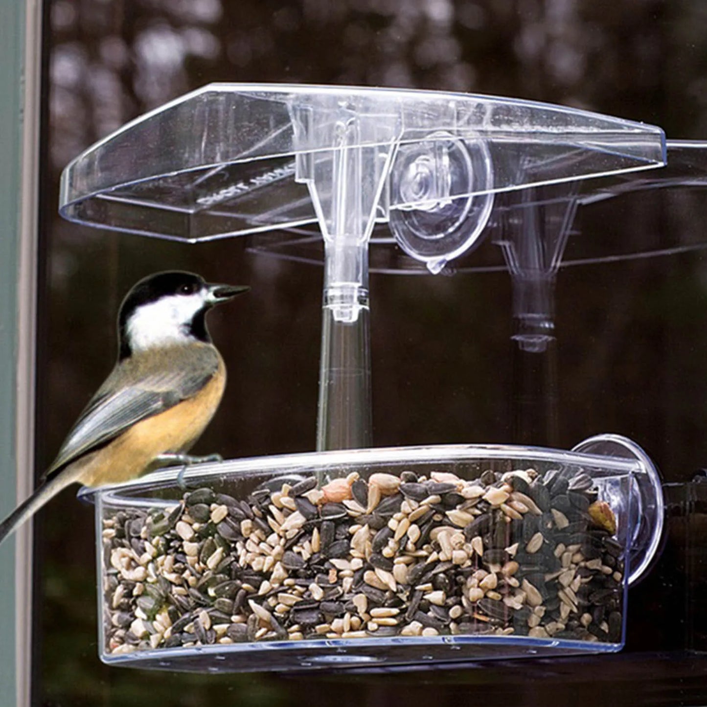 Transparent Window Bird Feeder - Birdhouse With Suction Cups