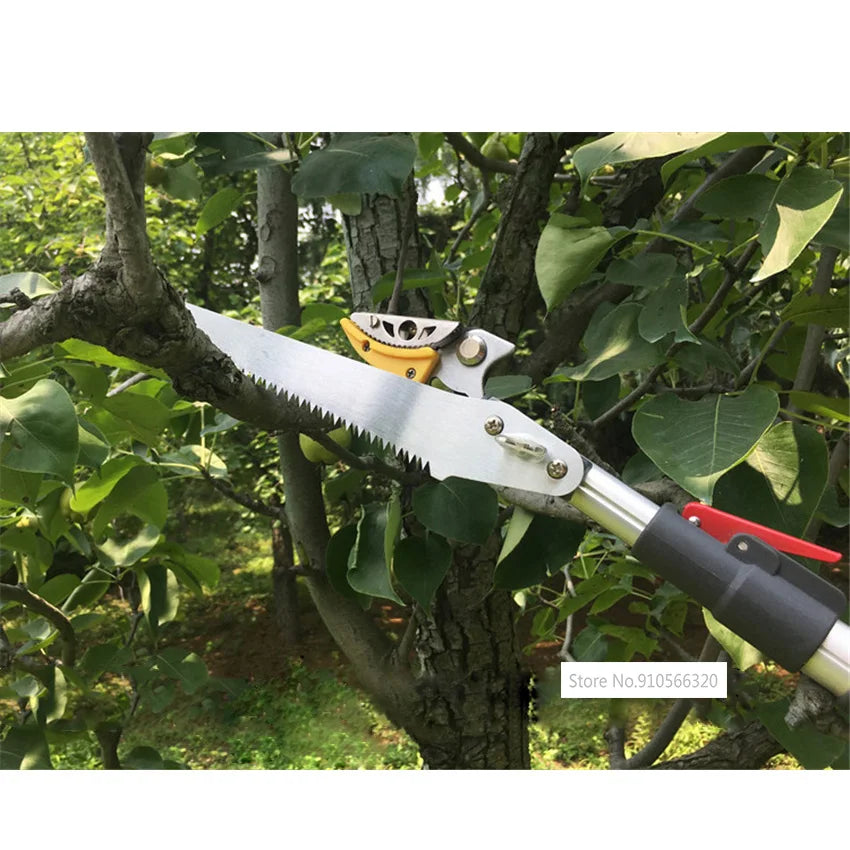 3M High-Altitude Fruit Scissors