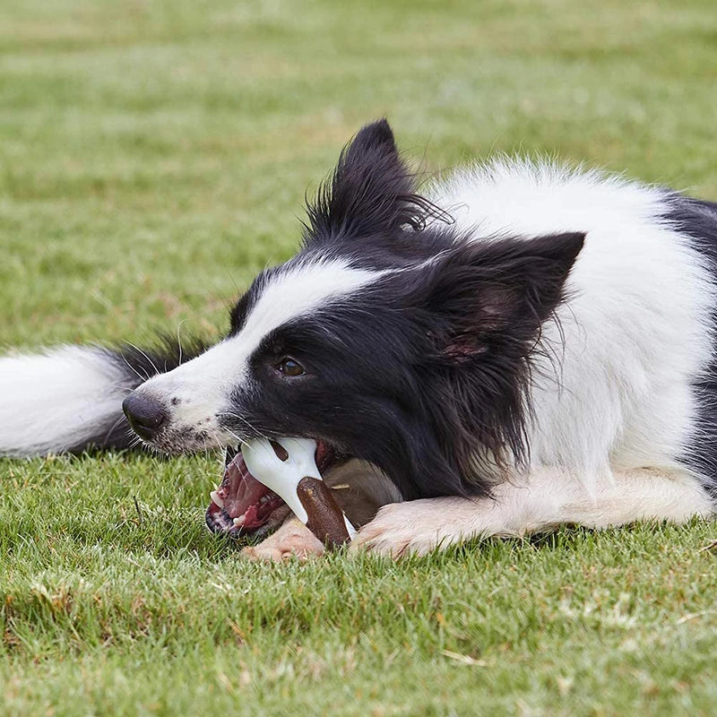 Benepaw Durable Dog Bone Chew Toy with Edible Bacon Flavored Treat