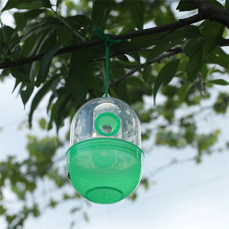 Wasp Trap Pest Control Solution