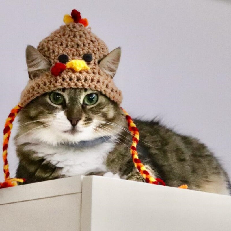 Halloween Pet Costume Hat