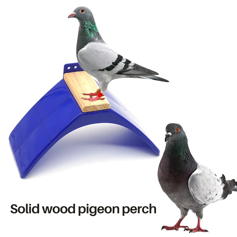 Premium Plastic Pigeon Rest Stand 20pcs