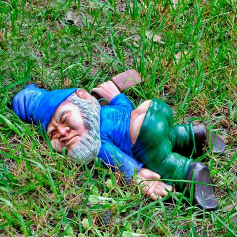 Funny Naughty Gnome Decor