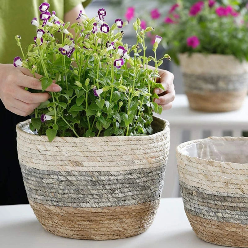 Hand Woven Plant Basket Set