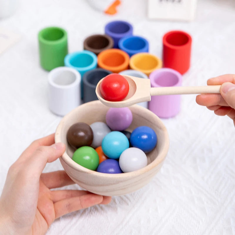 Montessori Rainbow Color Sorting Toy