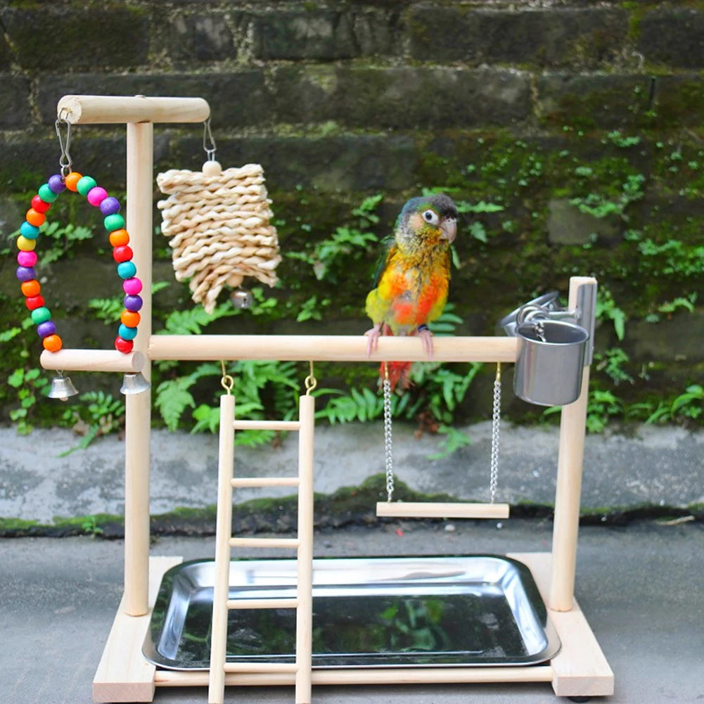 Premium Bird Playground Perch Stand