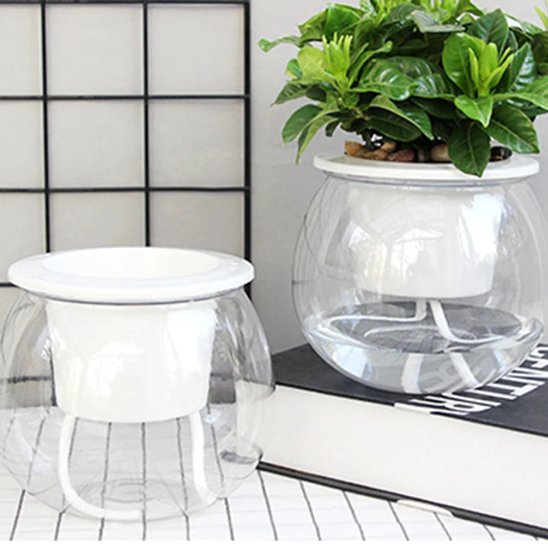 Self-Watering Transparent Flower Pot