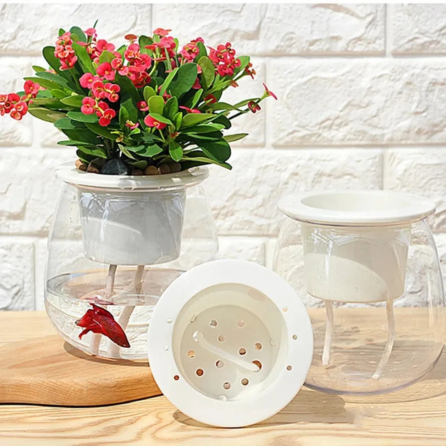 Modern Self-Watering Plant Pots