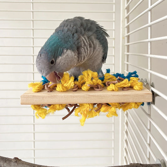 Wooden Bird Perch Stand for Parrots